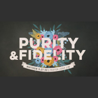 Purity and Fidelity 