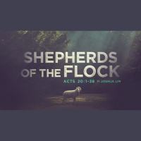 Shepherds of the Flock | Acts 20:1-38