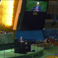 Former top diplomat on Govts Palestinian state decision