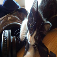 #18 Podcasts per viatjar i treballar arreu