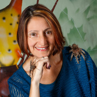 SoS 68 – The original web correspondence, spider communication with Dr. Eileen Hebets