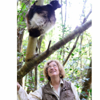 SoS 47- Go to the Forest with Pat Wright