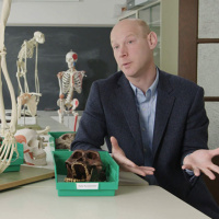 SoS 230: Nate Dominy discuss the role of monkey bars in human development