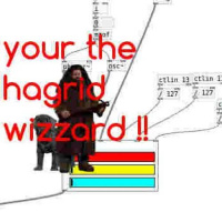 Harry Potter Variations No. 2