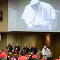 Episode 19: Synodal Frankenmarriage: Discernment and Deception