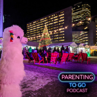 Holiday Activities in Toronto