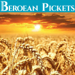 Beroean Pickets Jw.org Reviewer