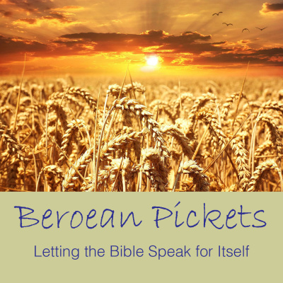 Beroean Pickets Jw.org Reviewer
