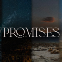 Promises - David - Luke Davidson