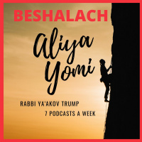 Beshalach 2 - Fear In The Ranks