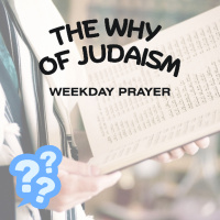 The Why of Judaism 3 - Weekday Prayer