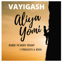 Vayigash 1 - Confrontation