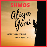 Shmos 5 - Moshes Resistance