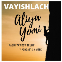 Vayishlach 2 - Struggle At The Dark Of Night