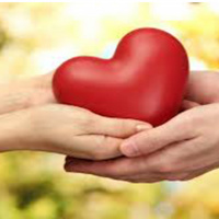 Empieza a sanar tu vida