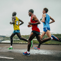 La fuerza de voluntad