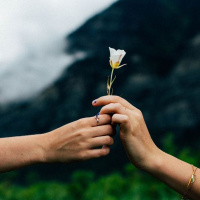 El perdón te ayuda a sanarte