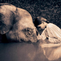 La Humildad Vs Arrogancia