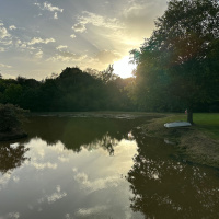 Sounds from the Buzzardry in Sussex