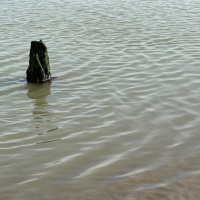 One more from Winchelsea Beach