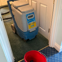 Carpet Cleaner