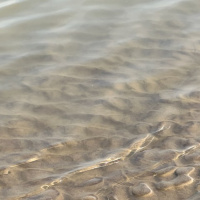 More from Winchelsea Beach