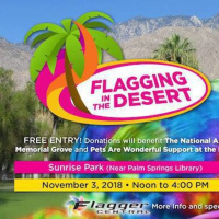 Flagging In The Desert 2018 Taster