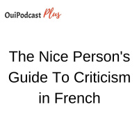 The Nice Persons Guide To Criticism