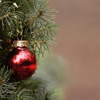 what is it like to celebrate christmas in france?