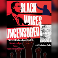 Black Voices Uncensored: Beretta 92FS Review World famous Gun Show Takeover