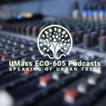 Urban Forestry Forum - Umass Eco 605