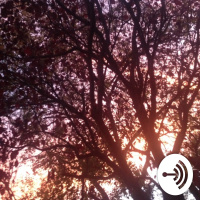 First ever! January-17-2018