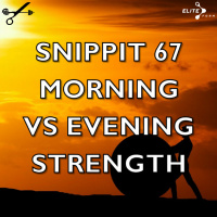 Snippit 67 ► Morning Vs Evening Strength Training