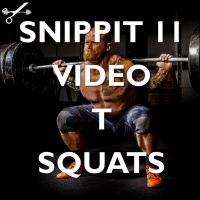 Snippit 11 ► Video Clips, Testosterone and Squats