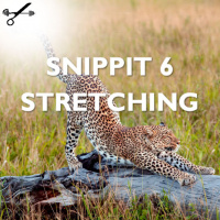Snippit 6 ► Stretching - Static Vs PNF