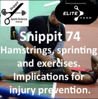 Hamstrings, sprinting and strengthening exercises: implications for exercise selection and primary prevention.