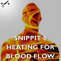 Snippit 8 ► Optimise Heating for Blood Flow