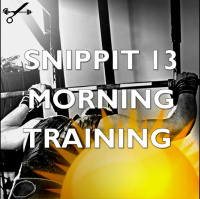 Snippit 13 ► Morning Training Improves Afternoon Performance