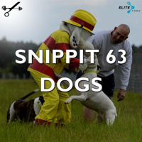 Snippit 63 ► Dogs