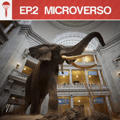 Livro Ao Vivo - Workshop De Escrita