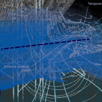 WILDER STORIES #2: BLUE