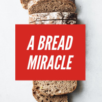 Bread Of Life