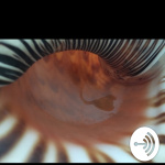 Frank Witt Podcast Minute