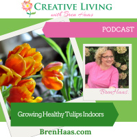 Adding Spring Color to your Home with Tulips