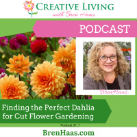 The Perfect Dahlia For Cut Flower Gardens 