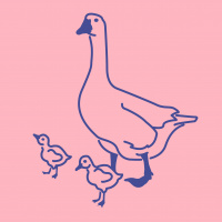 Episode 13 - Alfahan eller gåsemor