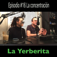 Episodio #16 La concentración en (La Yerberita)