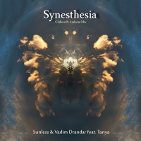 Synesthesia