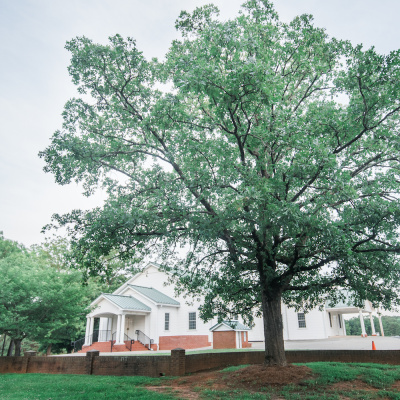 Shiloh Truelight Church