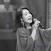 不止苦情，辛晓琪